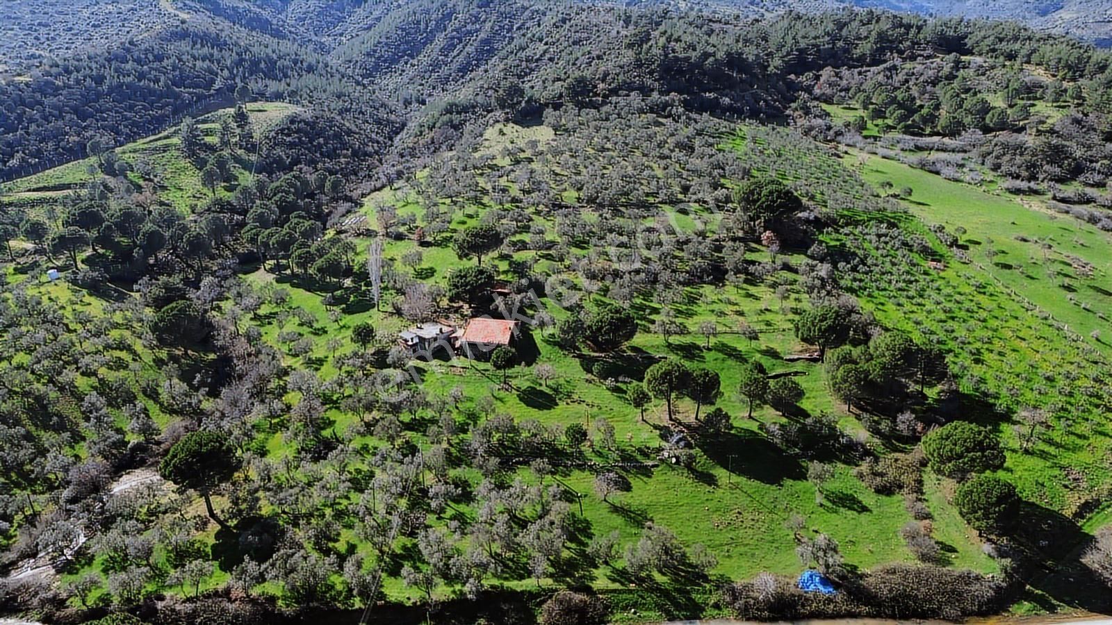 Bergama Selçuk Mah.'de 35.458m2 Yola Cepheli Satılık Tarla - Görsel 25