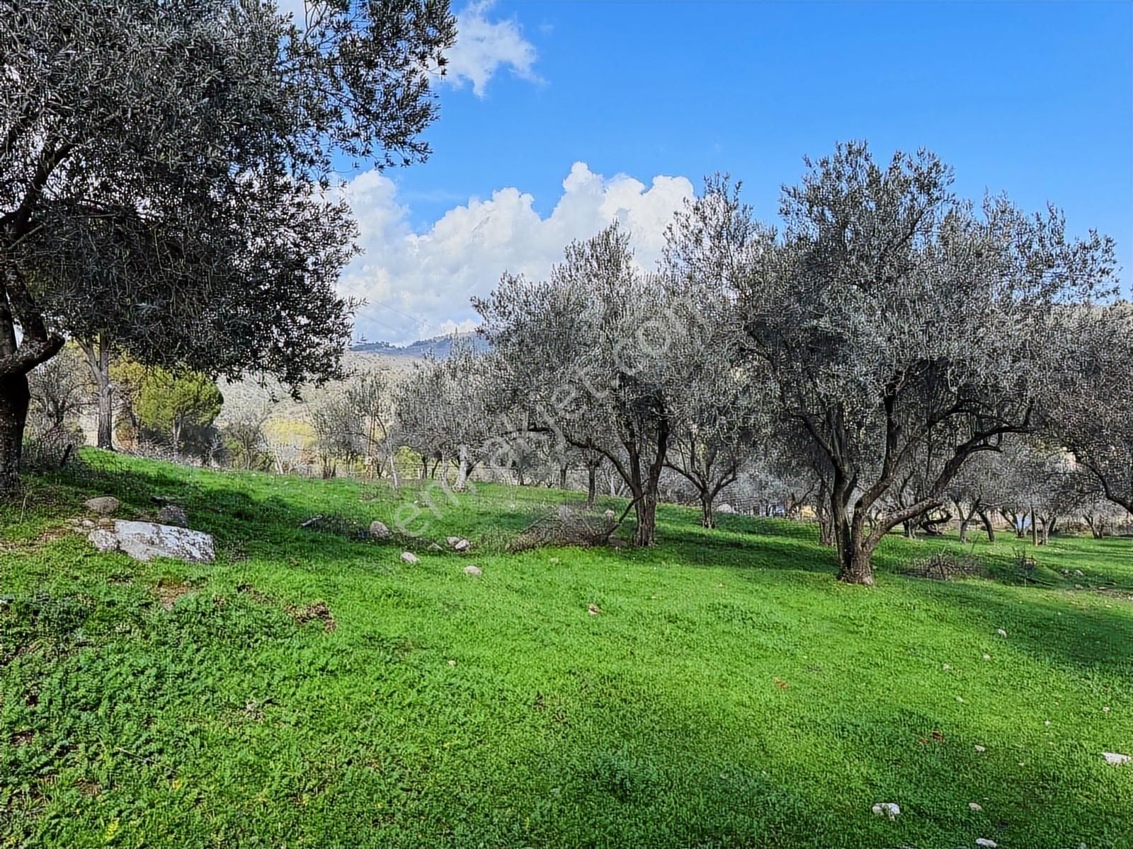 Bergama Selçuk Mah.'de 35.458m2 Yola Cepheli Satılık Tarla - Görsel 16