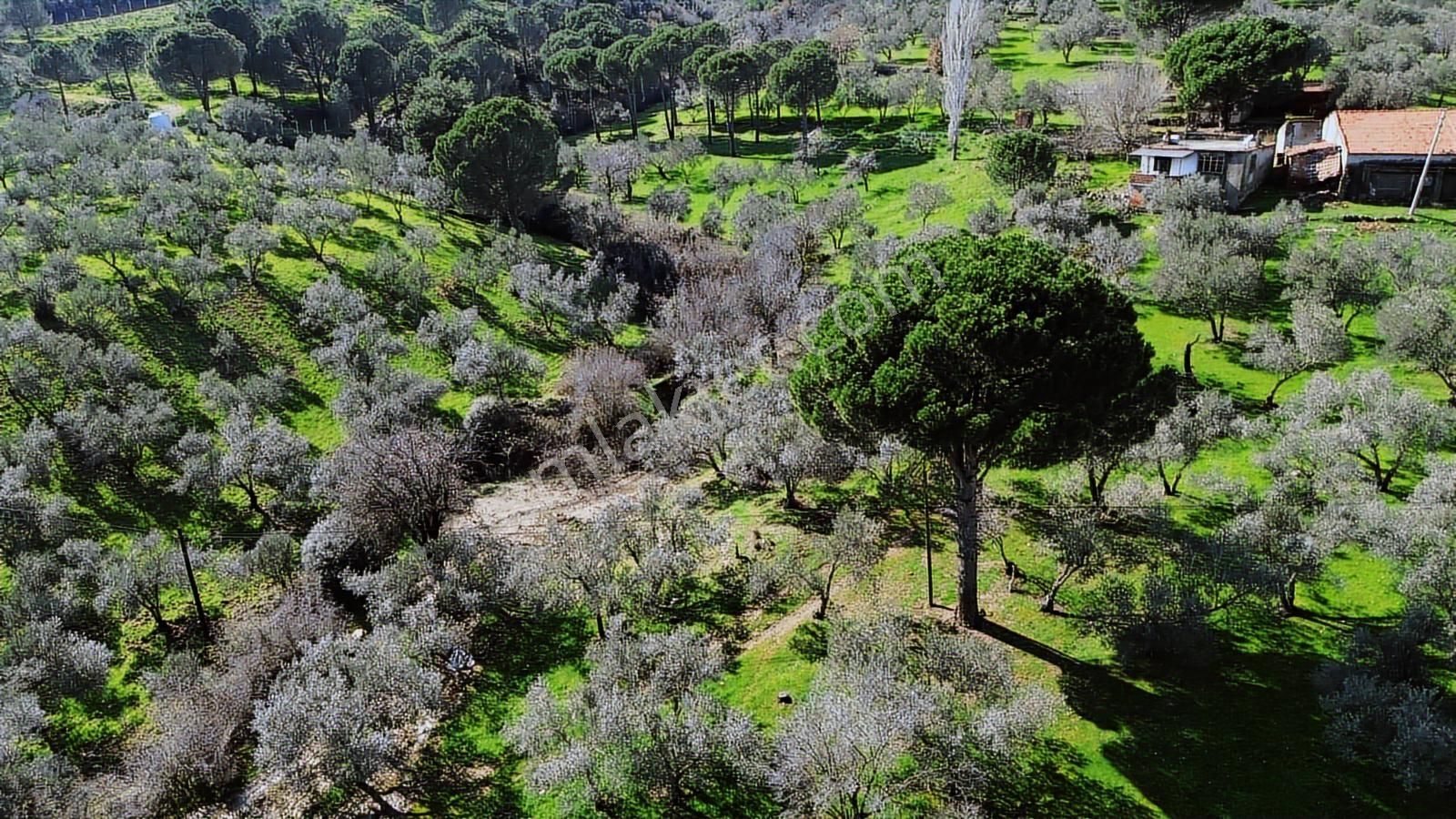 Bergama Selçuk Mah.'de 35.458m2 Yola Cepheli Satılık Tarla - Görsel 18