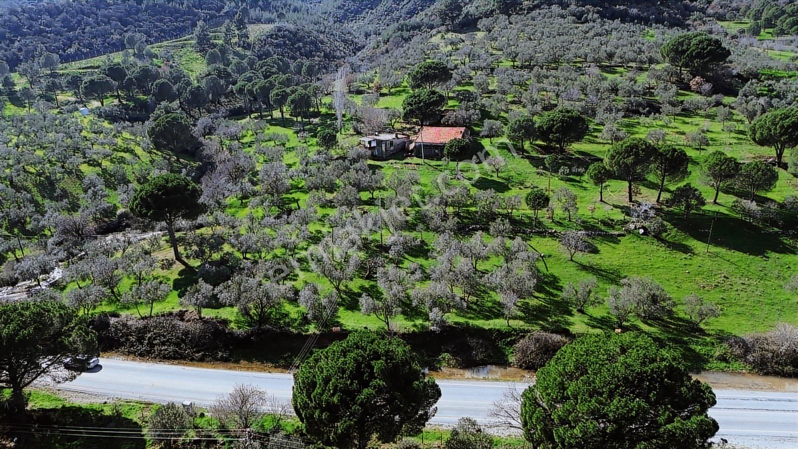Bergama Selçuk Mah.'de 35.458m2 Yola Cepheli Satılık Tarla - Görsel 12