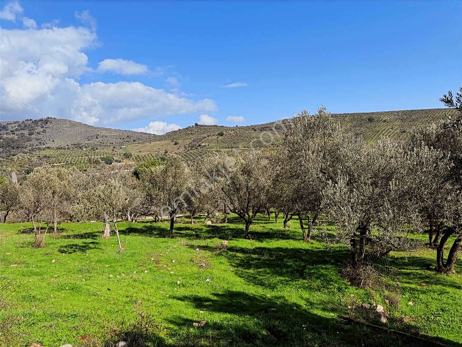 Bergama Selçuk Mah.'de 35.458m2 Yola Cepheli Satılık Tarla - Görsel 17