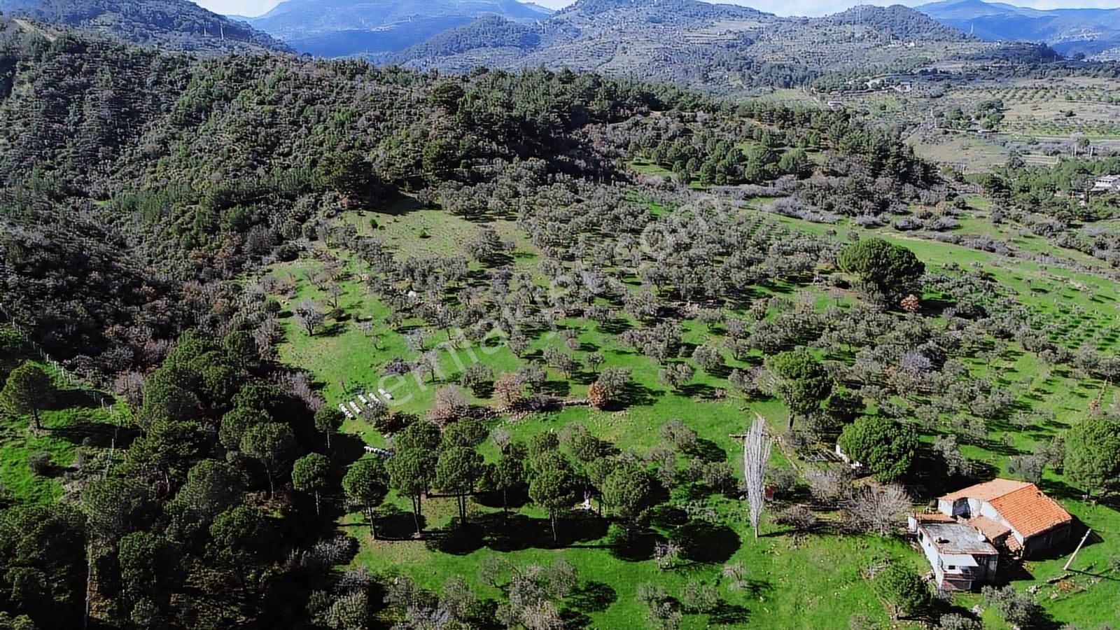 Bergama Selçuk Mah.'de 35.458m2 Yola Cepheli Satılık Tarla - Görsel 27