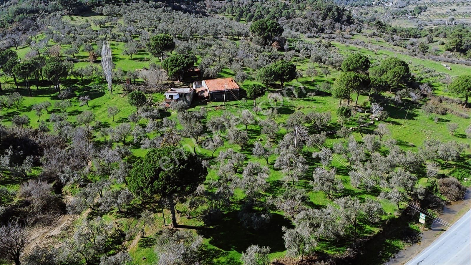 Bergama Selçuk Mah.'de 35.458m2 Yola Cepheli Satılık Tarla - Görsel 2