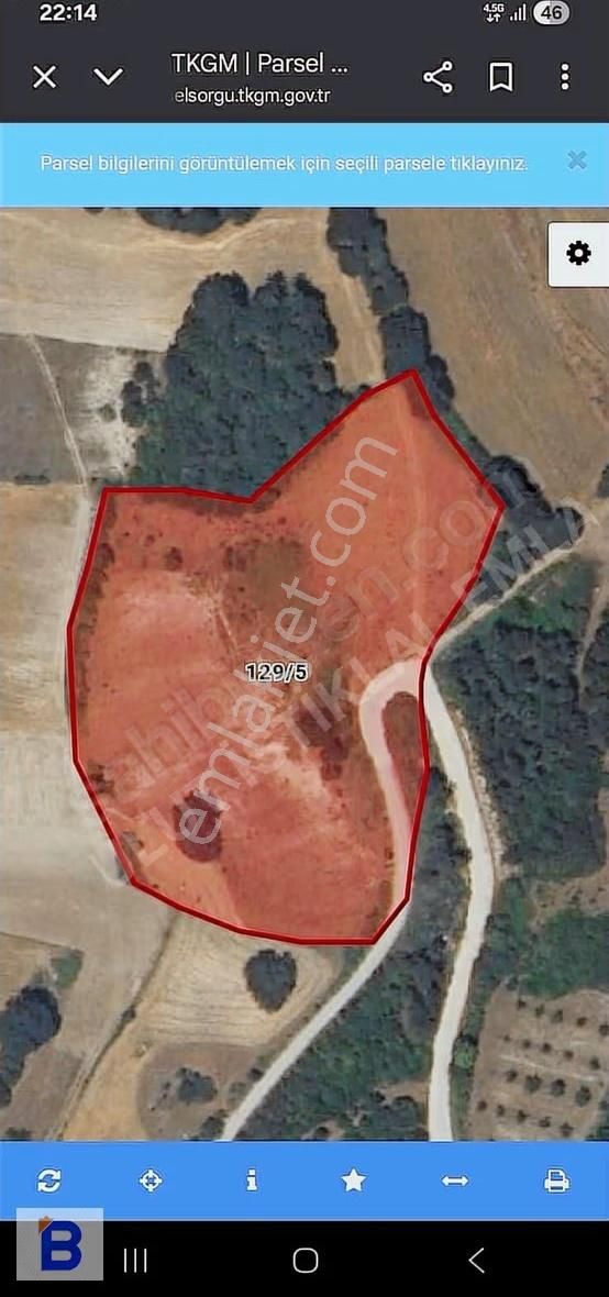 Bulut Emlaktan Çatmaolukta Geniş Arazi 13.130m2