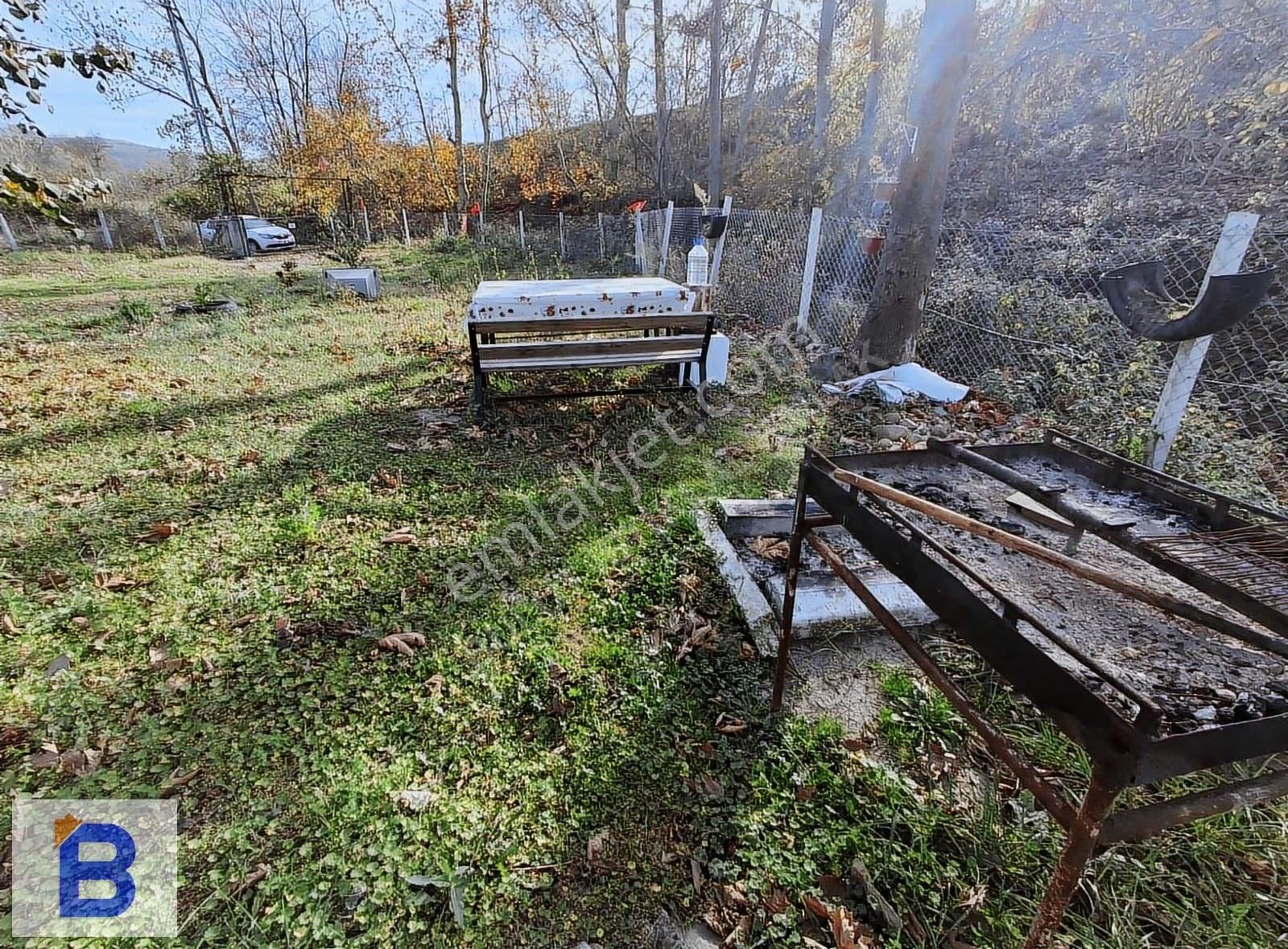 Bulut Emlaktan Atakum Sarıtaş'ta Hazır Meyve-sebze Bahçesi - Görsel 31