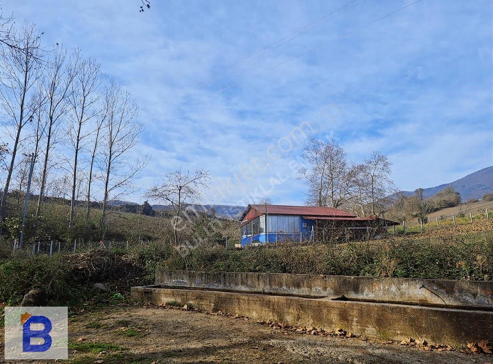 Bulut Emlaktan Atakum Sarıtaş'ta Hazır Meyve-sebze Bahçesi - Görsel 26