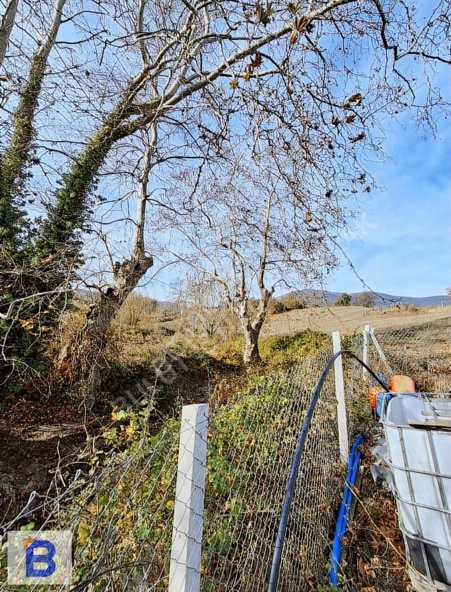 Bulut Emlaktan Atakum Sarıtaş'ta Hazır Meyve-sebze Bahçesi - Görsel 35