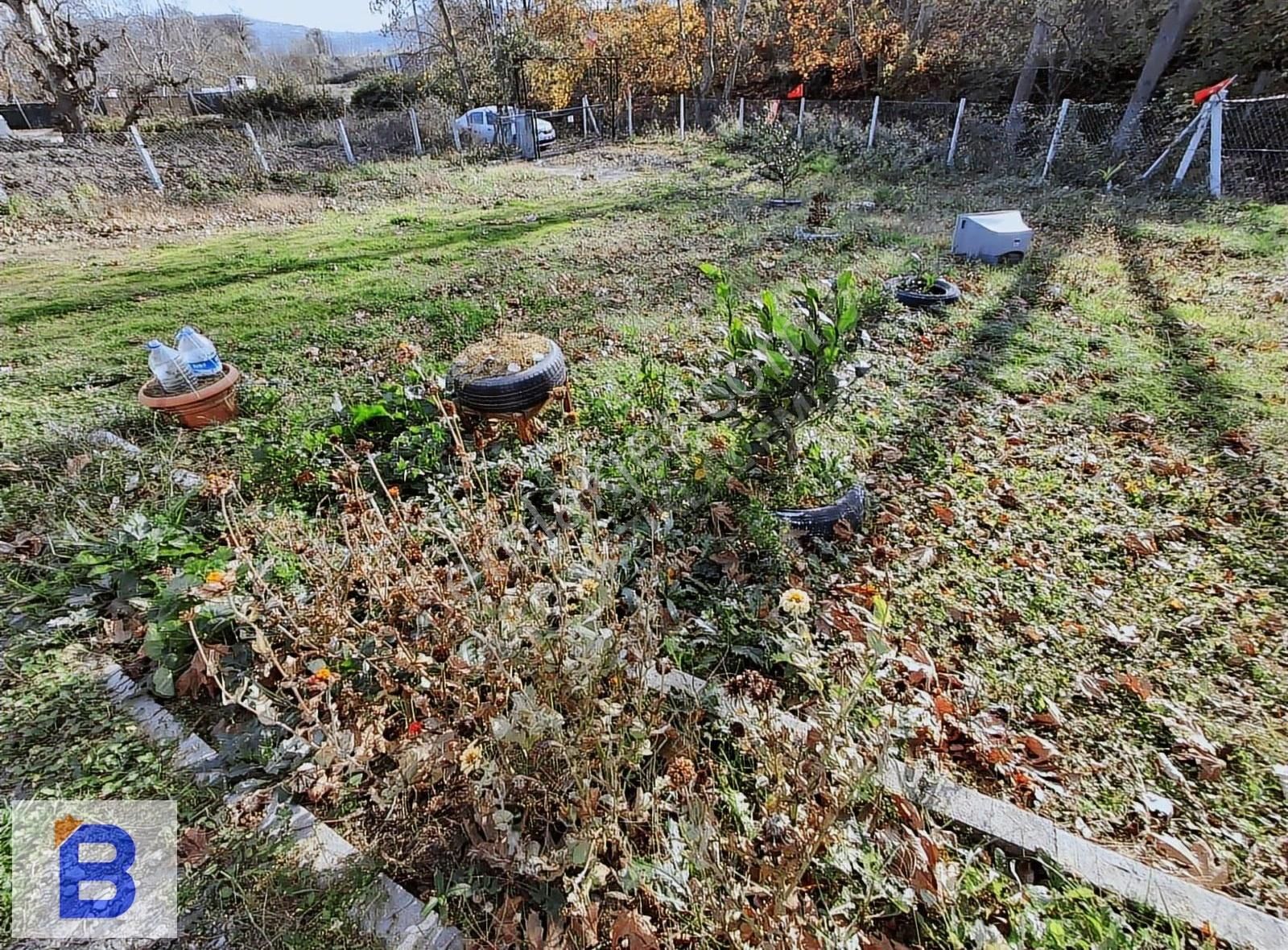 Bulut Emlaktan Atakum Sarıtaş'ta Hazır Meyve-sebze Bahçesi - Görsel 29
