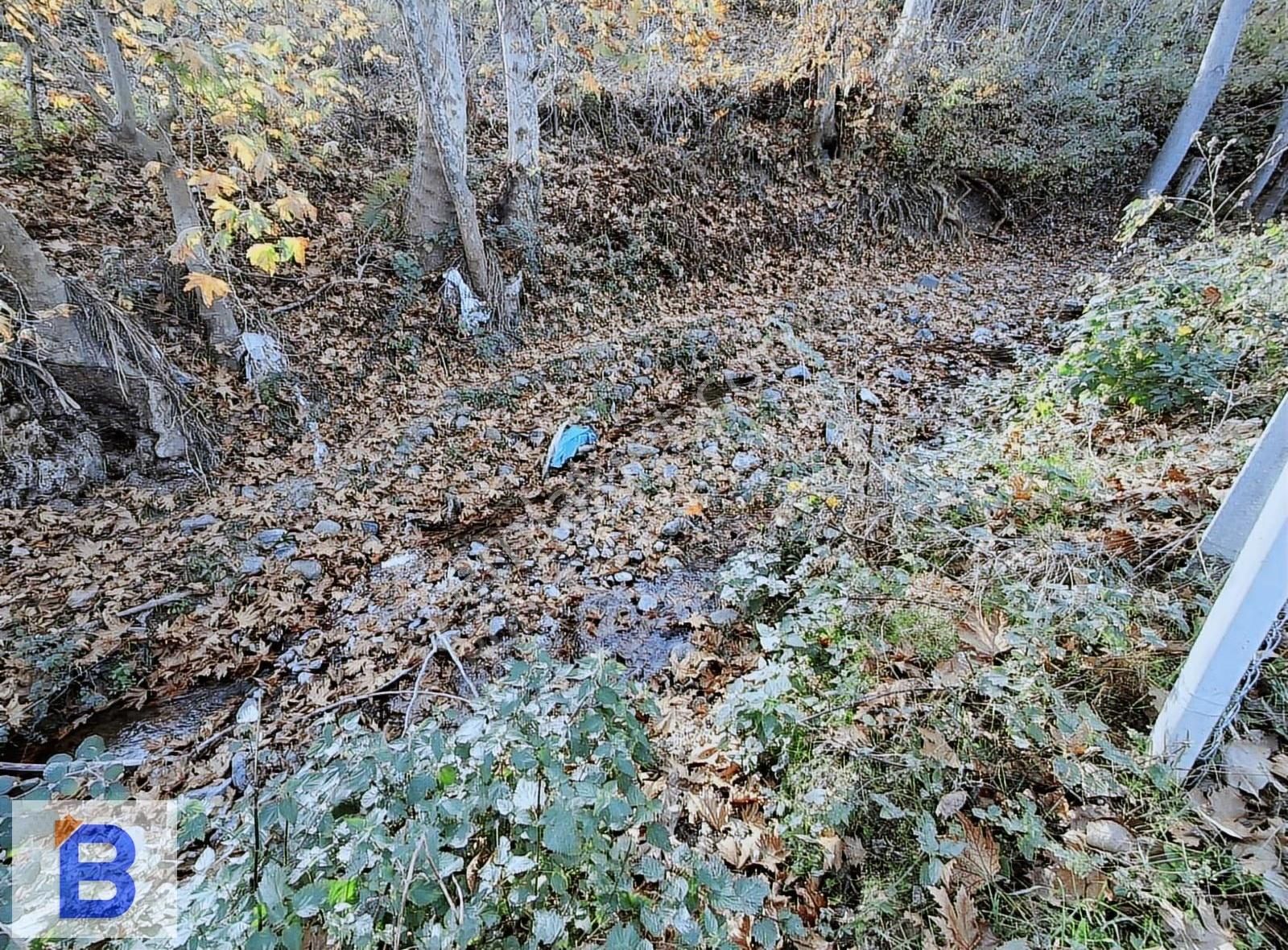 Bulut Emlaktan Atakum Sarıtaş'ta Hazır Meyve-sebze Bahçesi - Görsel 4