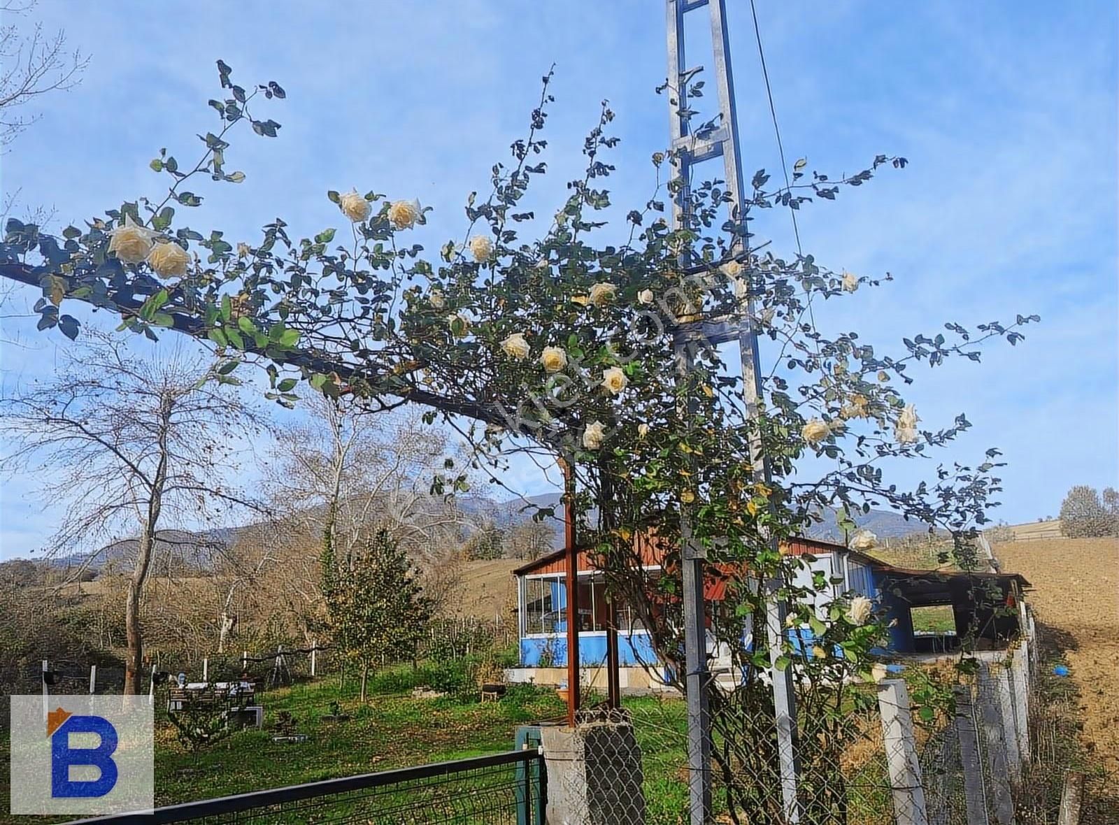 Bulut Emlaktan Atakum Sarıtaş'ta Hazır Meyve-sebze Bahçesi - Görsel 24