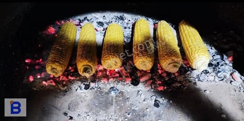 Bulut Emlaktan Atakum Sarıtaş'ta Hazır Meyve-sebze Bahçesi - Görsel 23