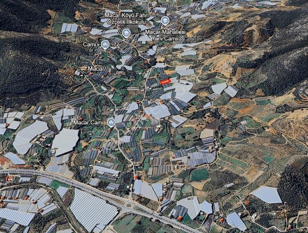 Denıze Ve D400'e Yakın Konumda Hazır Muz Serası - Görsel 4