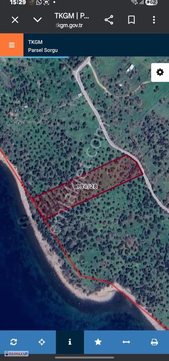 Denize Sıfır Konumda Zeytinlik - Görsel 2