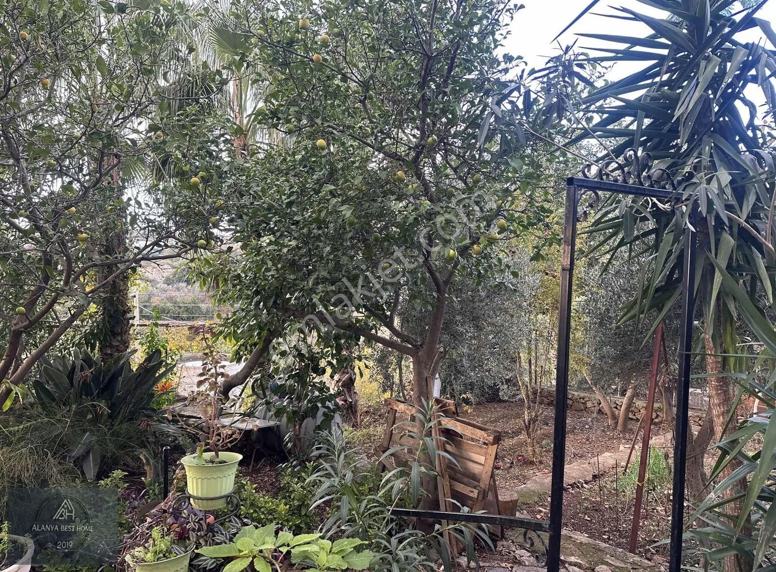 Deniz Manzaralı Müstakil Villa (850m2) Arsa Üstünde 4+1 Tripleks - Görsel 12