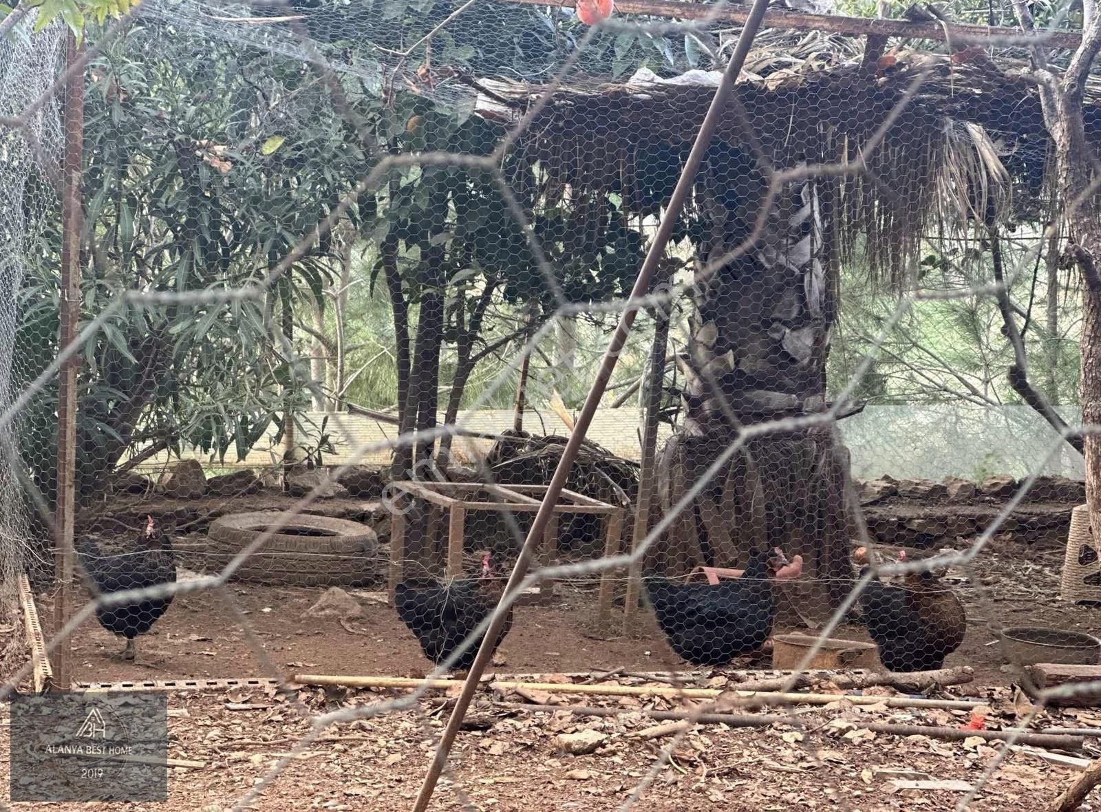 Deniz Manzaralı Müstakil Villa (850m2) Arsa Üstünde 4+1 Tripleks - Görsel 11