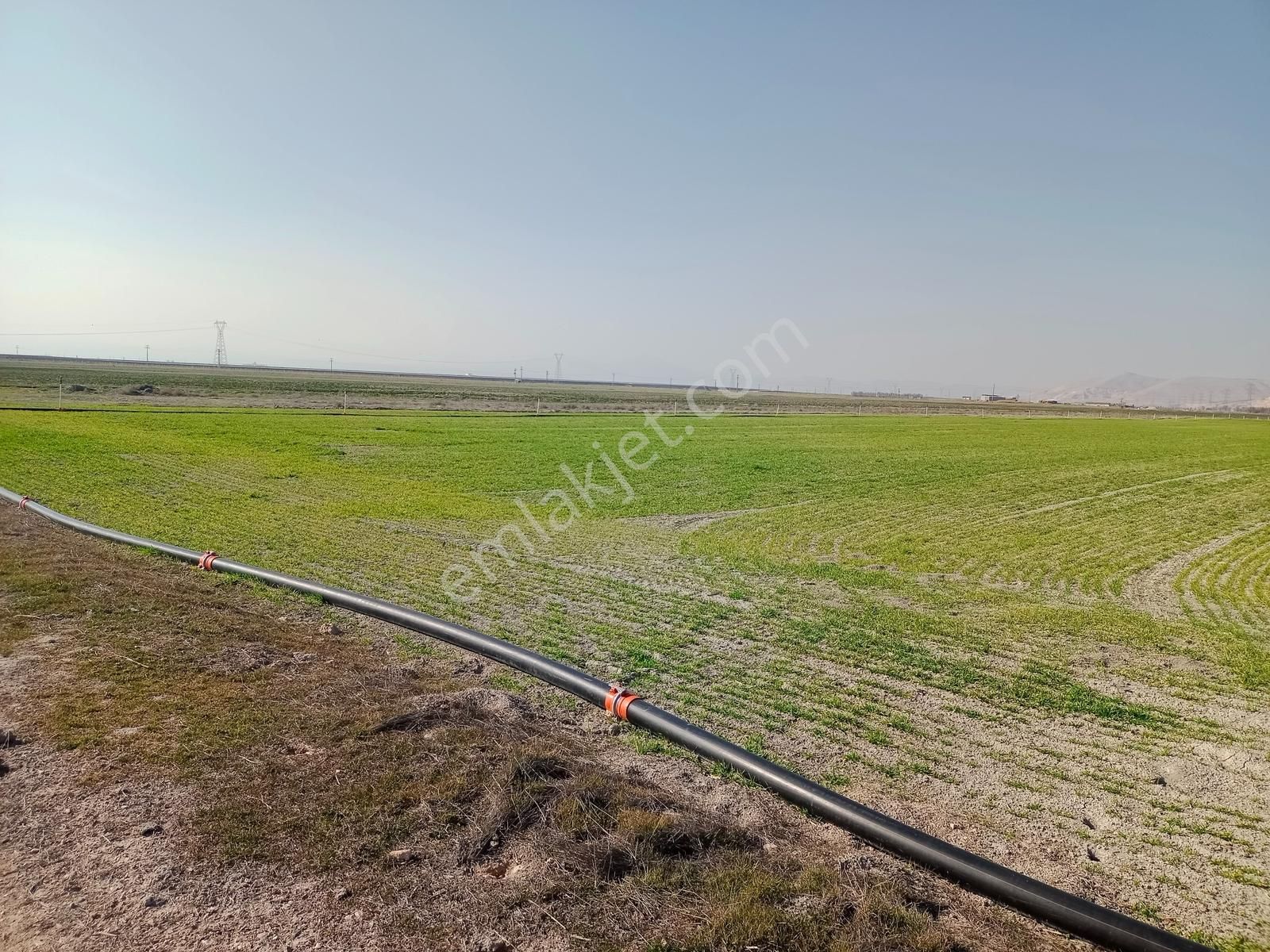 Karaömerler'de Yatırımlık Tarla 995 M2 Satılık Hisse - Görsel 5