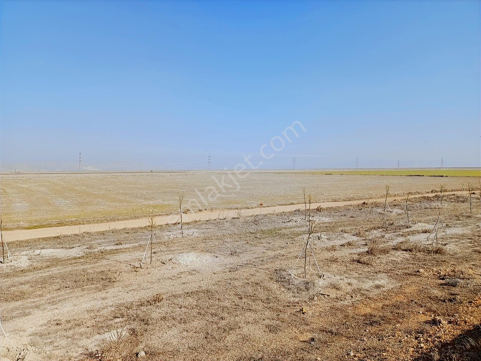 Karaömerler'de Yatırımlık Tarla 995 M2 Satılık Hisse - Görsel 4