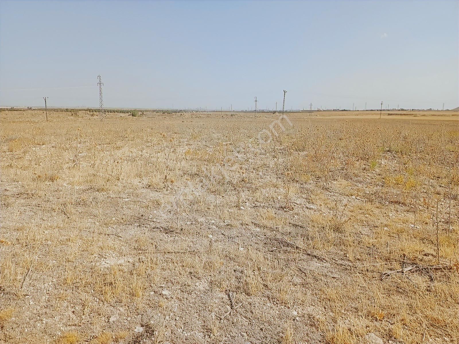 Yeni Çevre Yolu İçinde Geleceğe Dönük Yatırım Satılık 979 M2 - Görsel 2