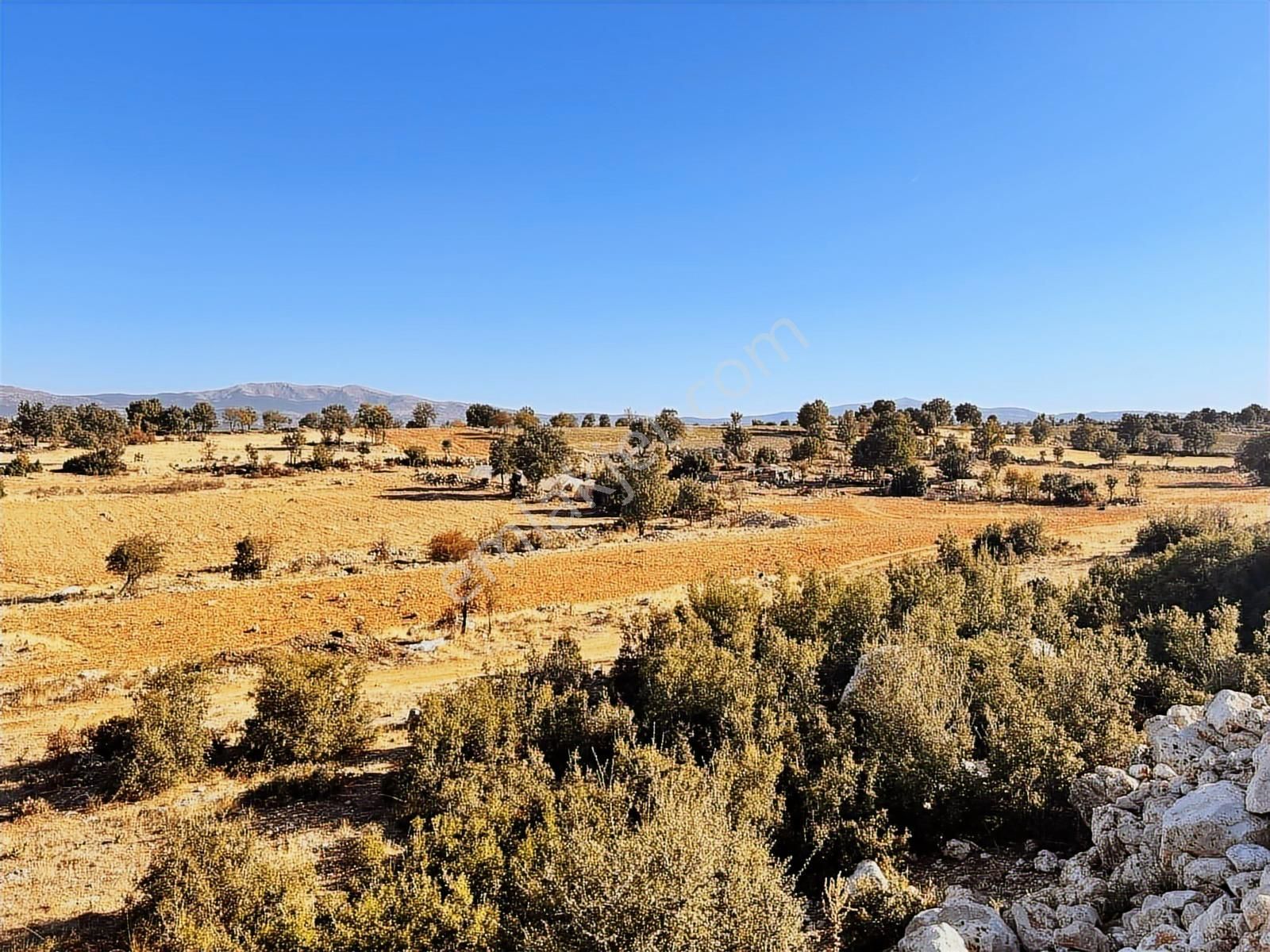 Denizli Çal Dağmarmara'da27.548 M² Satılık Verimli Tarla - Görsel 9