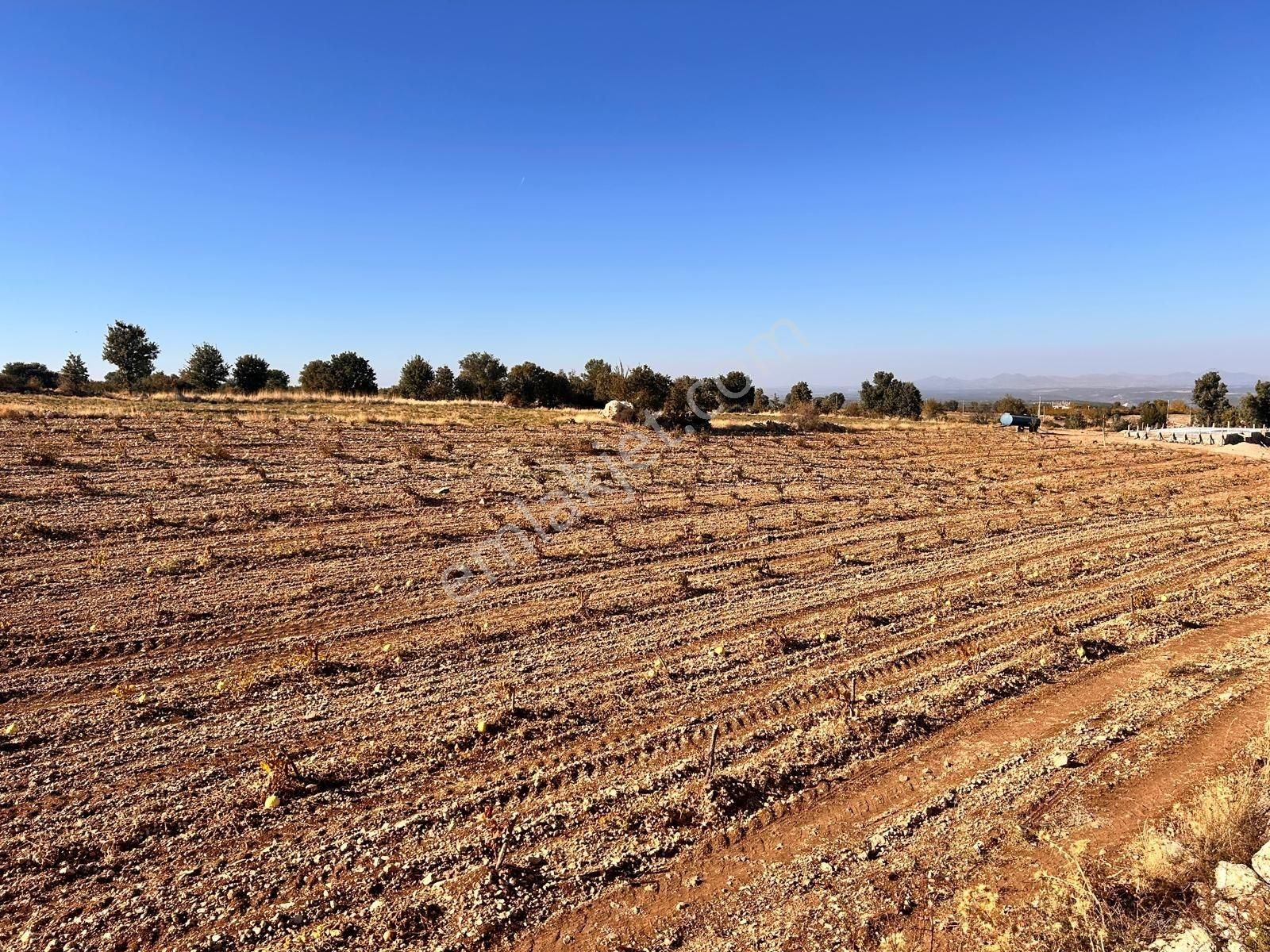Denizli Çal Dağmarmara'da27.548 M² Satılık Verimli Tarla - Görsel 4