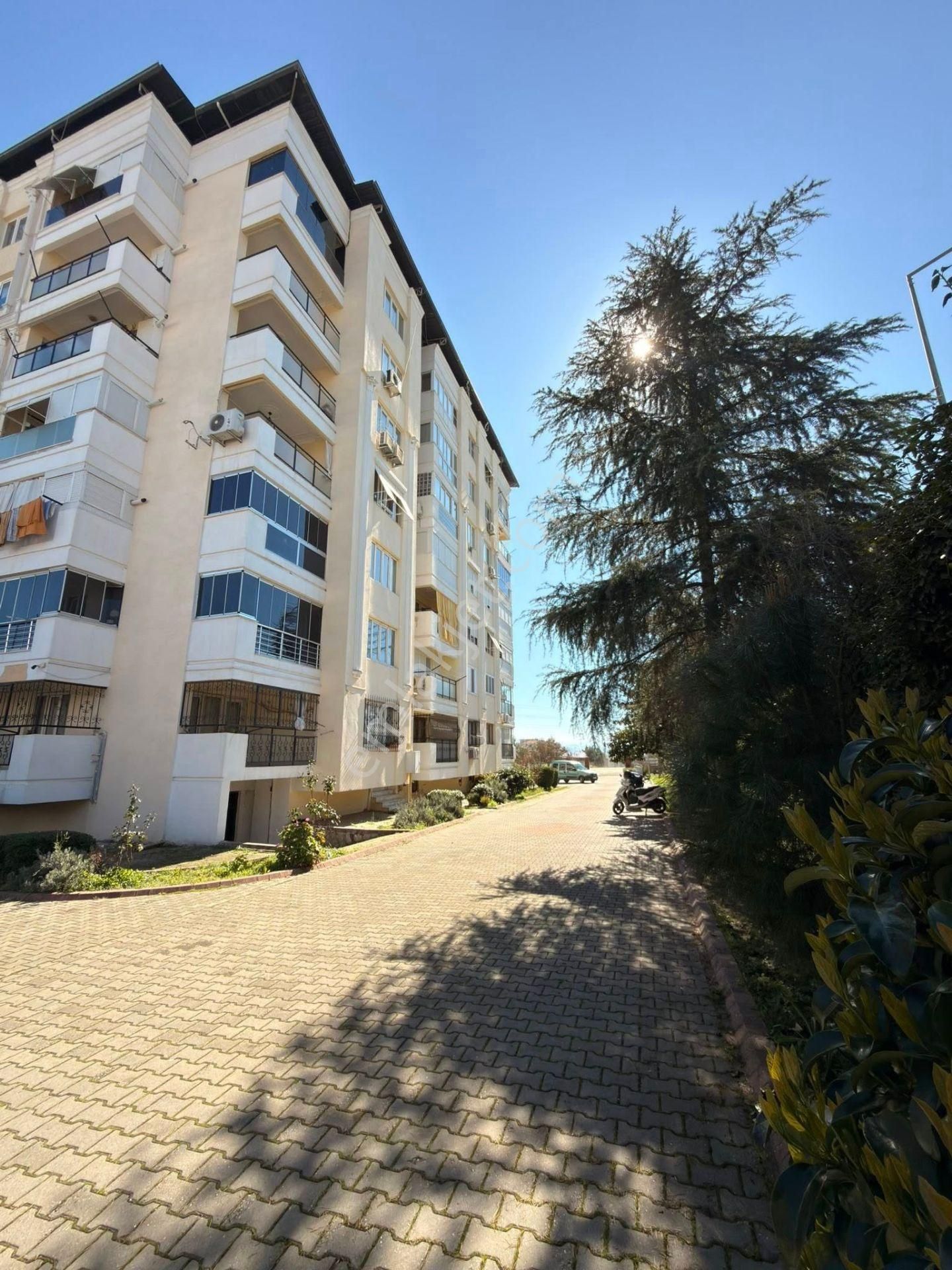 Satılık Geniş Aile Dairesi — Fırsat!!! Konum: Nazilli / Zafer Mahallesi - Görsel 3