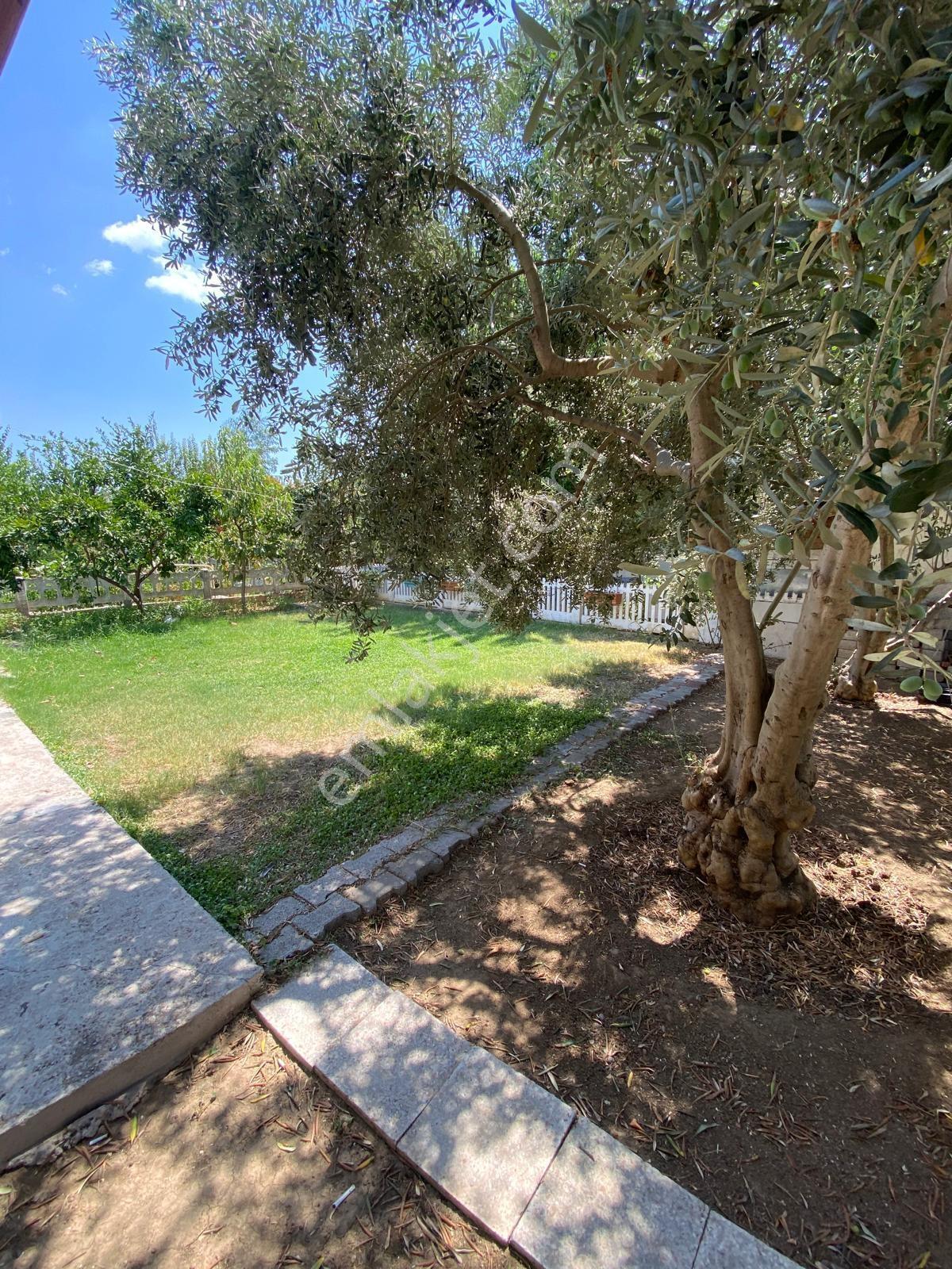 Borsem-dikili Salihleraltı'nda Denize 400 M Kiralık Yazlık Villa - Görsel 11