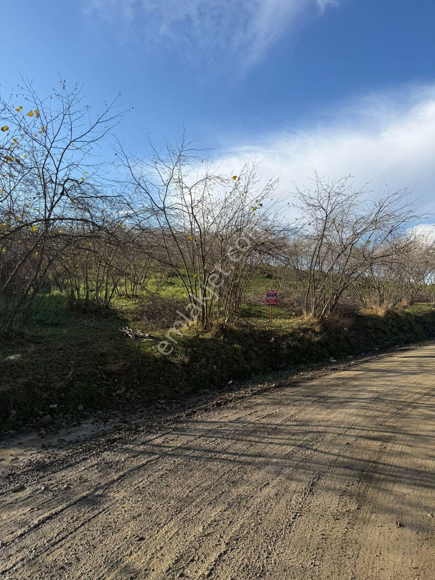 Trabzon Geçit Mah Toki Konutları Yanı Satılık 2438 M2 Arsa - Görsel 18