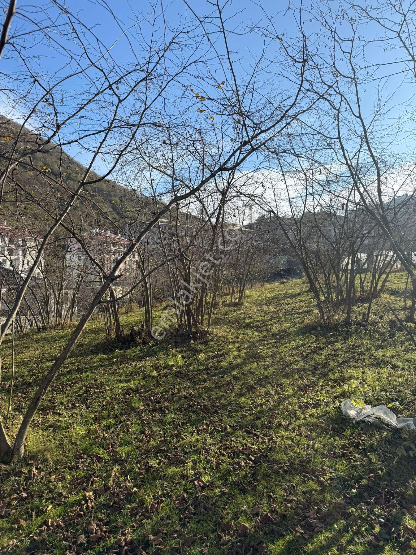 Trabzon Geçit Mah Toki Konutları Yanı Satılık 2438 M2 Arsa - Görsel 23