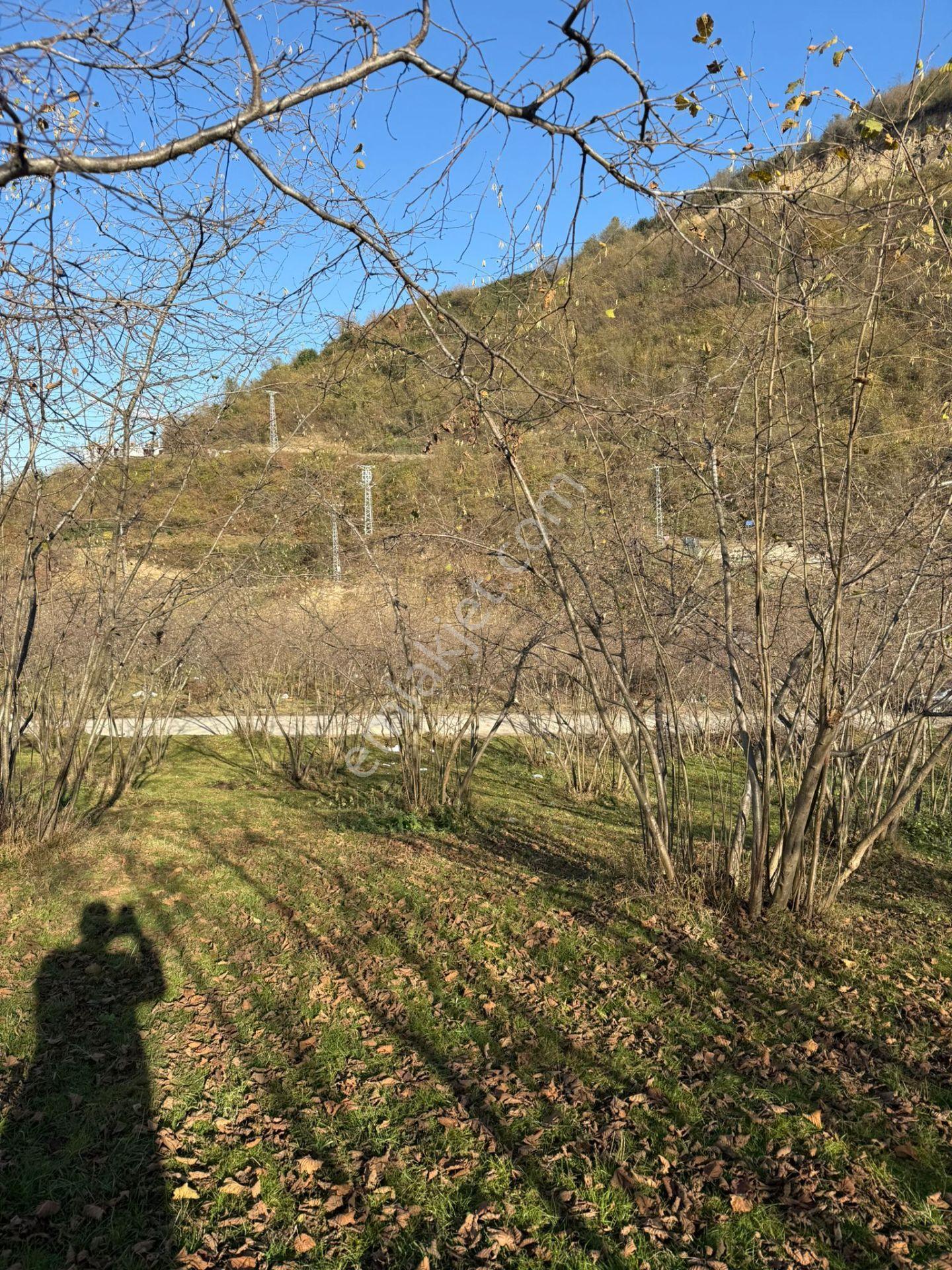 Trabzon Geçit Mah Toki Konutları Yanı Satılık 2438 M2 Arsa - Görsel 20