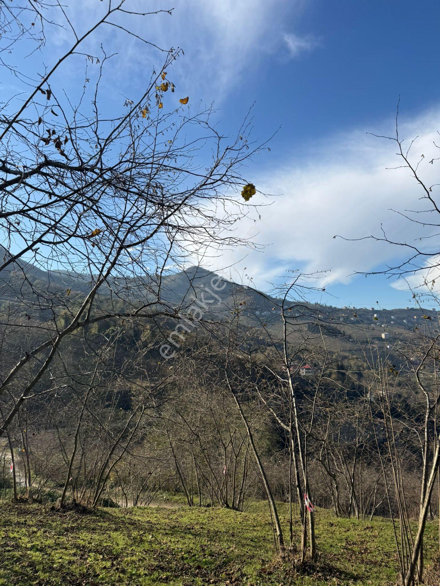 Trabzon Geçit Mah Toki Konutları Yanı Satılık 2438 M2 Arsa - Görsel 26