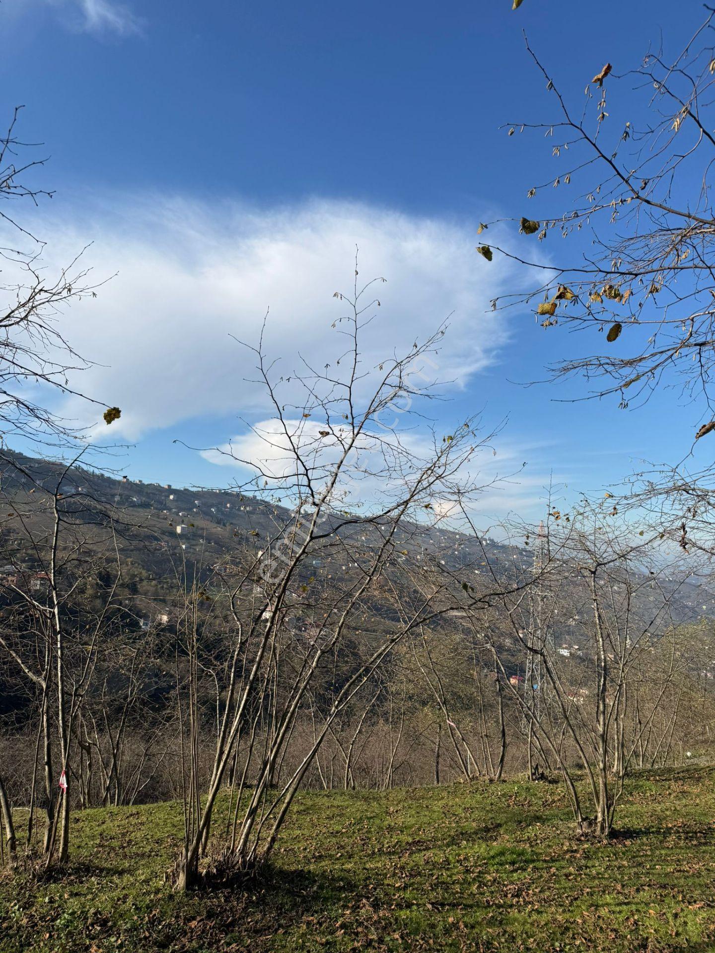 Trabzon Geçit Mah Toki Konutları Yanı Satılık 2438 M2 Arsa - Görsel 28