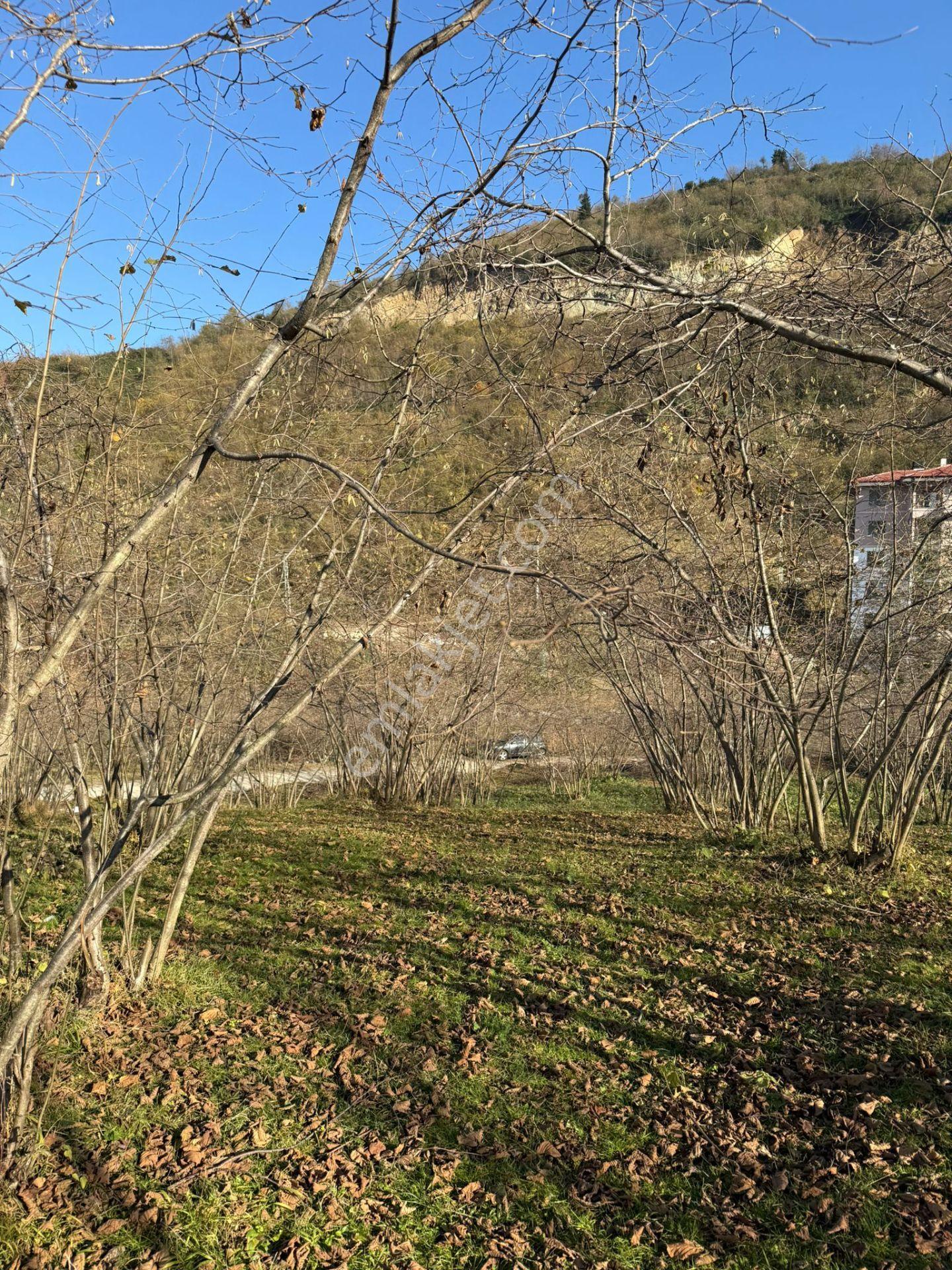 Trabzon Geçit Mah Toki Konutları Yanı Satılık 2438 M2 Arsa - Görsel 24