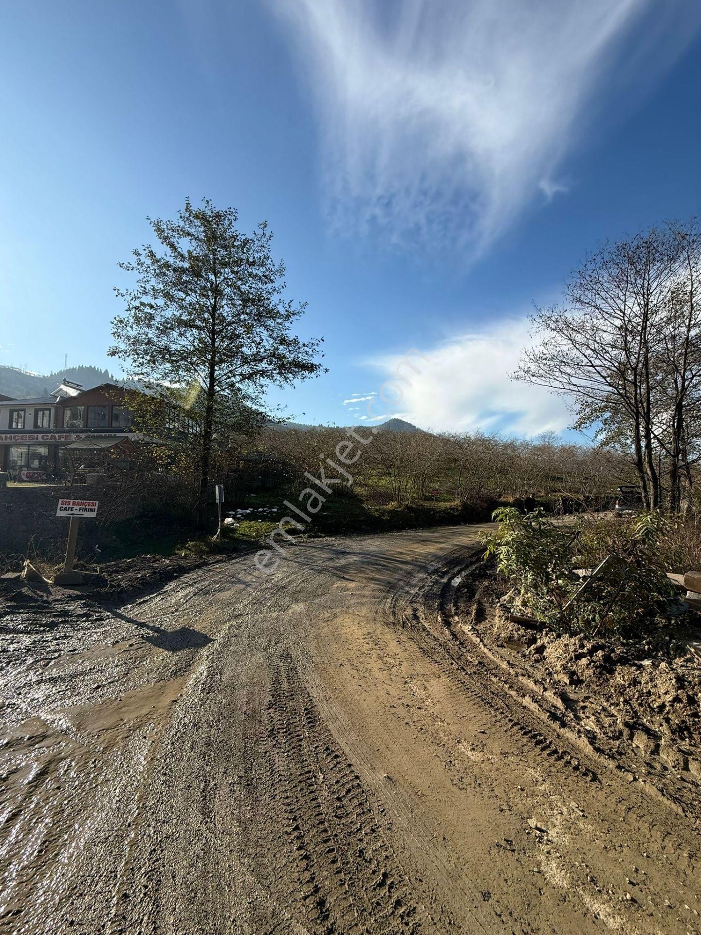 Trabzon Geçit Mah Toki Konutları Yanı Satılık 2438 M2 Arsa - Görsel 17