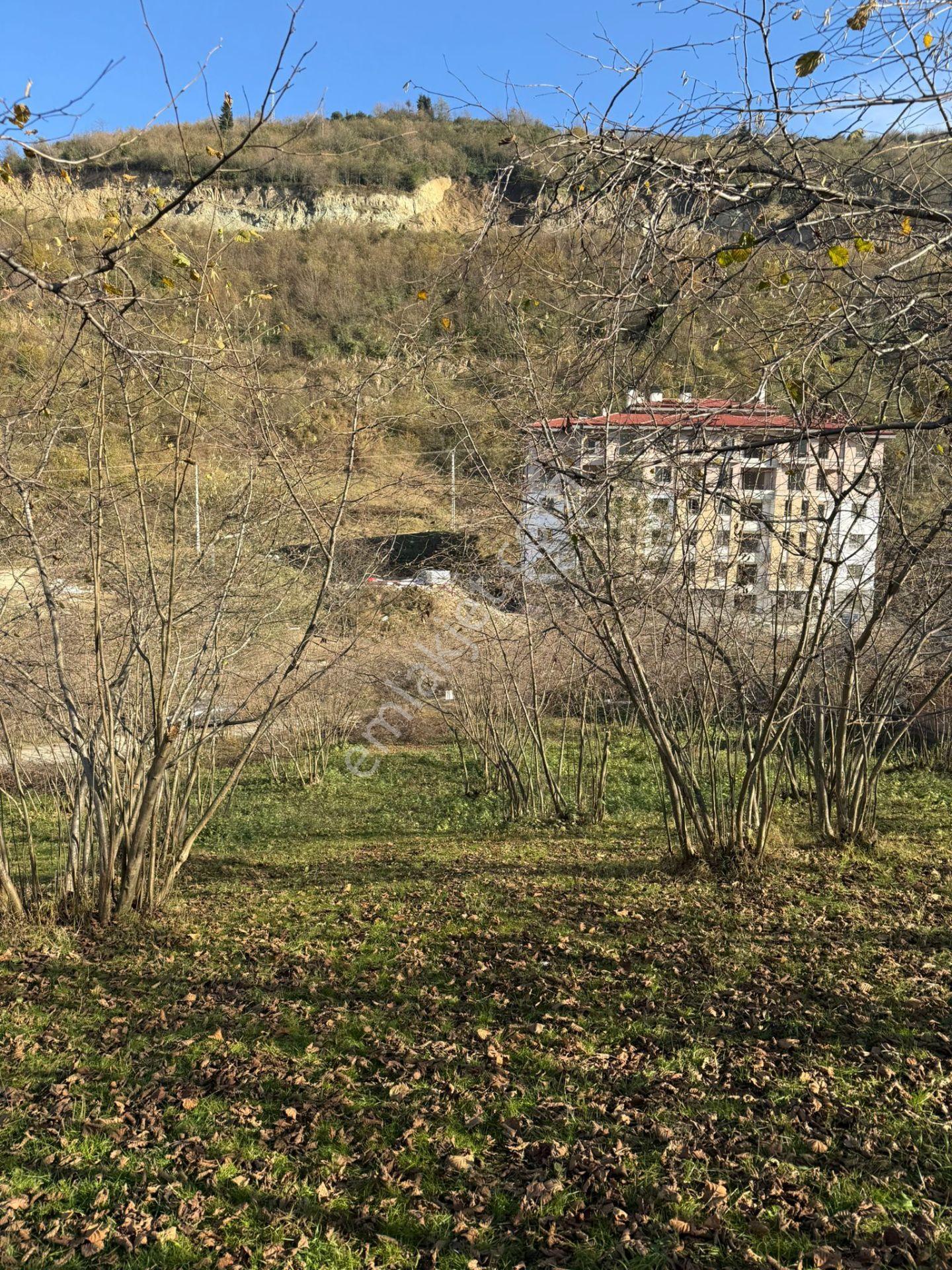 Trabzon Geçit Mah Toki Konutları Yanı Satılık 2438 M2 Arsa - Görsel 27