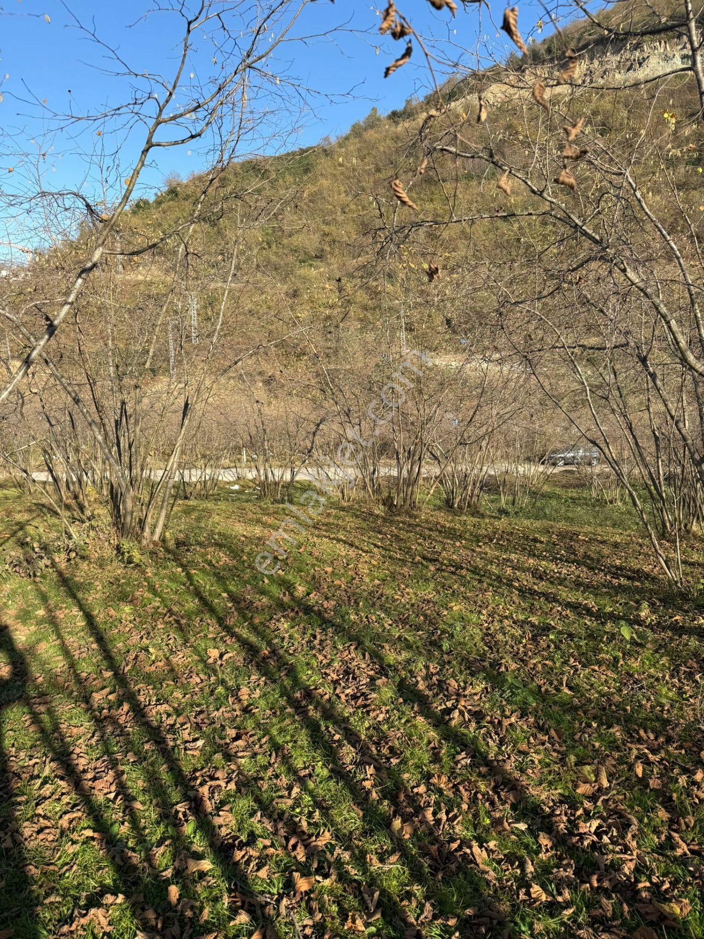 Trabzon Geçit Mah Toki Konutları Yanı Satılık 2438 M2 Arsa - Görsel 22