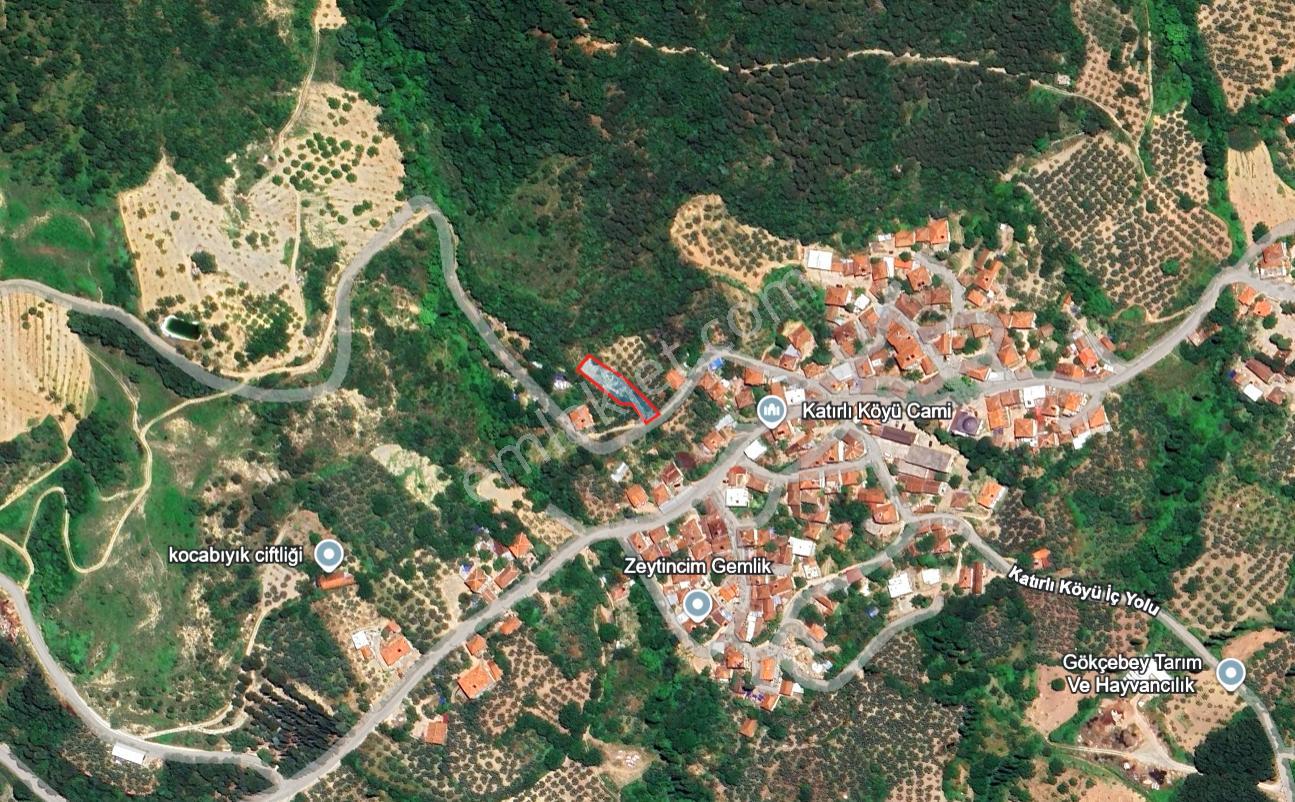 C21 Cius; Katırlı Köyiçi İmarlı Yola Cephe Satılık 691m2 Zeytinlik - Görsel 30