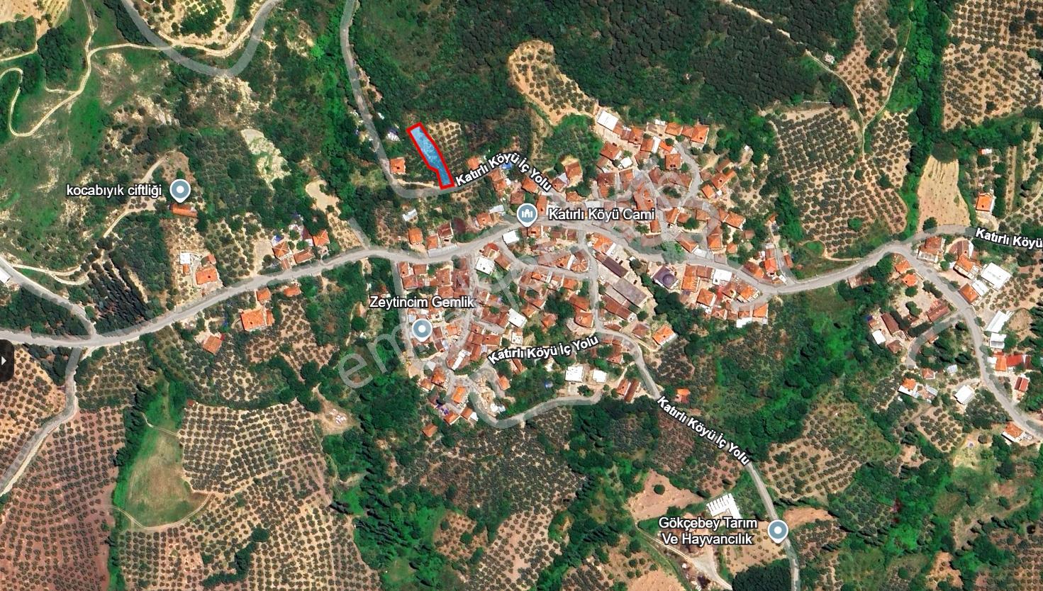 C21 Cius; Katırlı Köyiçi İmarlı Yola Cephe Satılık 691m2 Zeytinlik - Görsel 32