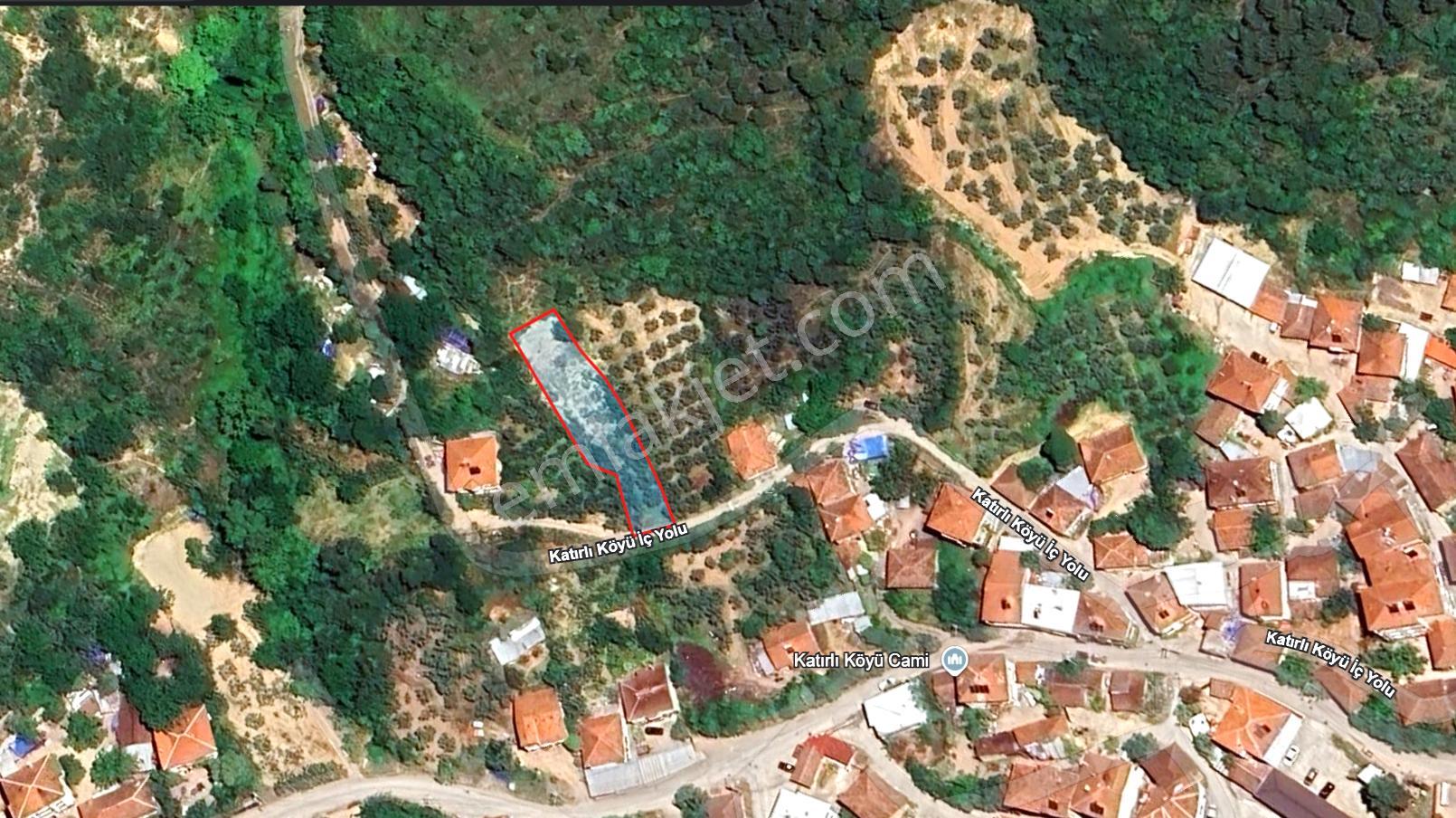 C21 Cius; Katırlı Köyiçi İmarlı Yola Cephe Satılık 691m2 Zeytinlik - Görsel 31