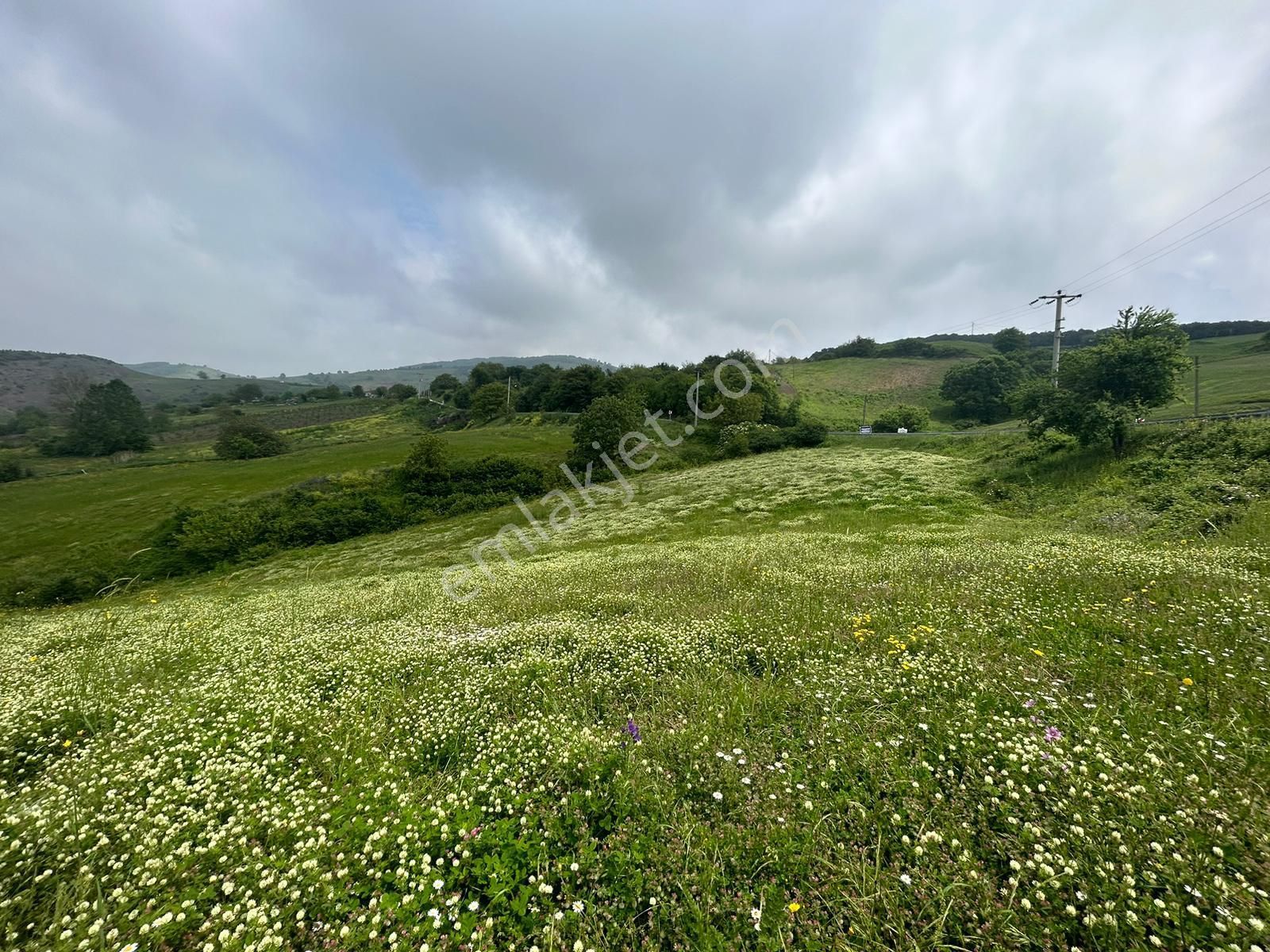 Kocaeli Karamürsel Fulacık %5 İmarlı 7470 M2 Satılık Tarla - Görsel 7