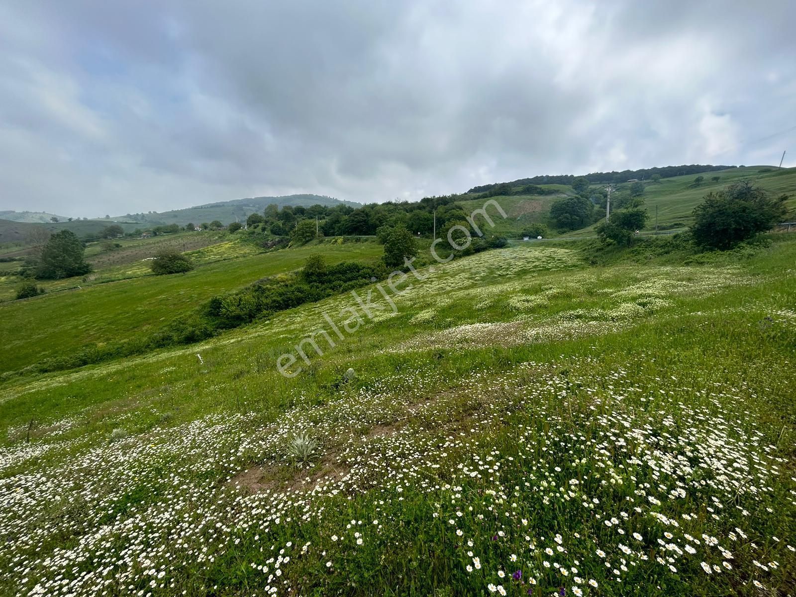 Kocaeli Karamürsel Fulacık %5 İmarlı 7470 M2 Satılık Tarla - Görsel 4
