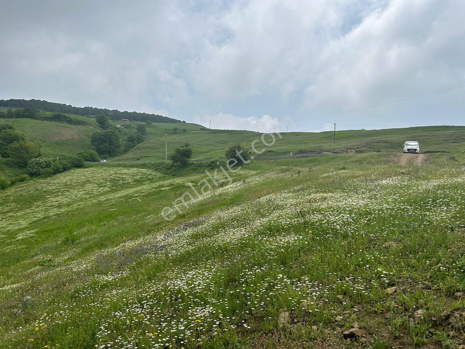 Kocaeli Karamürsel Fulacık %5 İmarlı 7470 M2 Satılık Tarla - Görsel 12