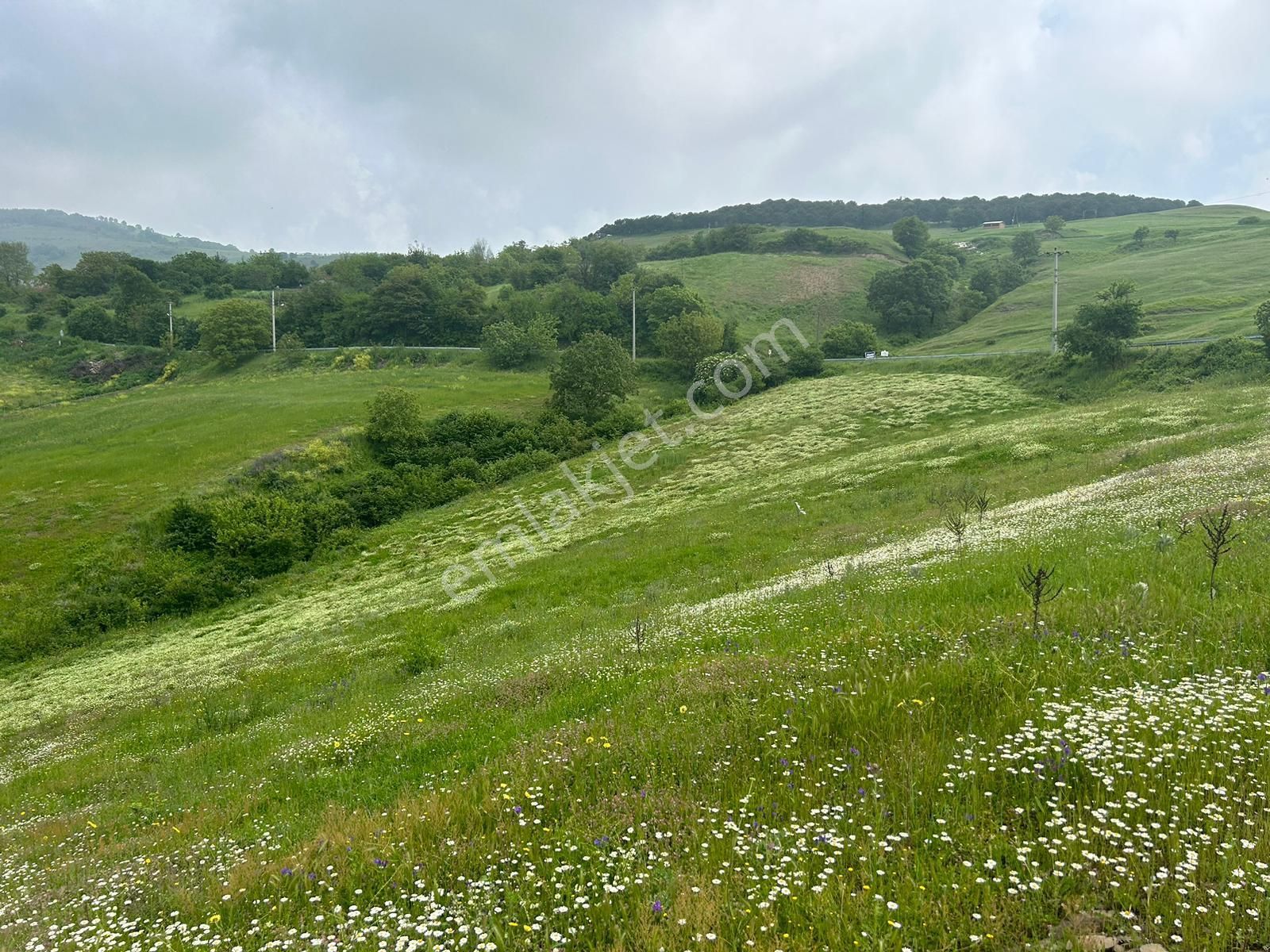 Kocaeli Karamürsel Fulacık %5 İmarlı 7470 M2 Satılık Tarla - Görsel 5