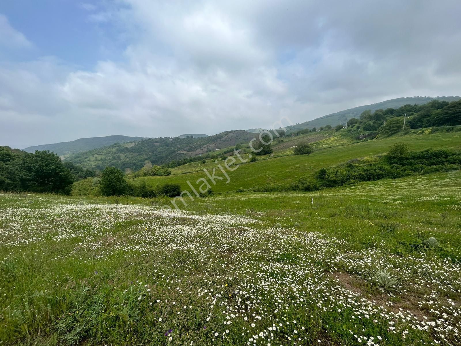 Kocaeli Karamürsel Fulacık %5 İmarlı 7470 M2 Satılık Tarla