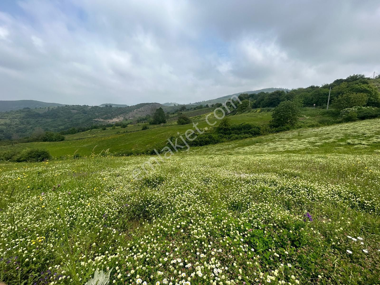 Kocaeli Karamürsel Fulacık %5 İmarlı 7470 M2 Satılık Tarla - Görsel 8