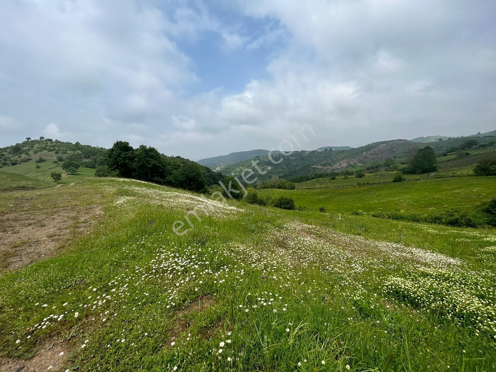 Kocaeli Karamürsel Fulacık %5 İmarlı 7470 M2 Satılık Tarla - Görsel 3