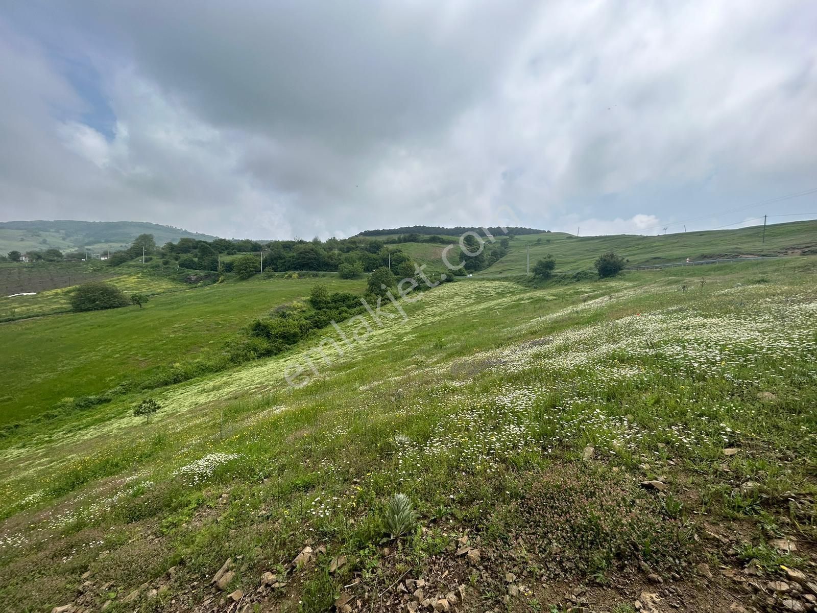 Kocaeli Karamürsel Fulacık %5 İmarlı 7470 M2 Satılık Tarla - Görsel 9