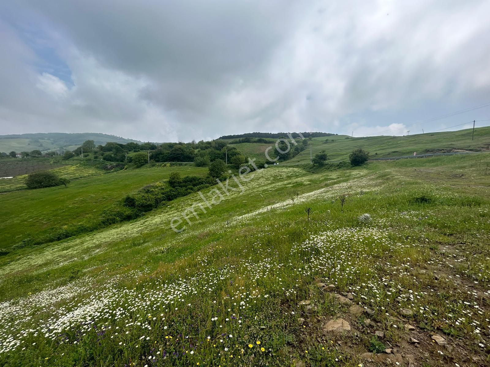 Kocaeli Karamürsel Fulacık %5 İmarlı 7470 M2 Satılık Tarla - Görsel 6