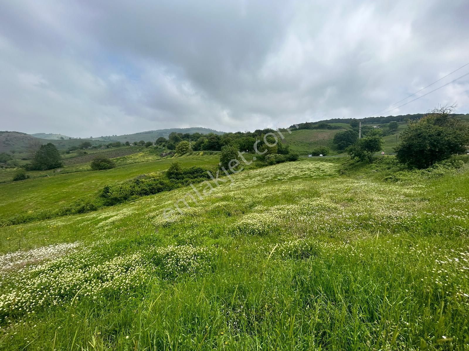Kocaeli Karamürsel Fulacık %5 İmarlı 7470 M2 Satılık Tarla - Görsel 10