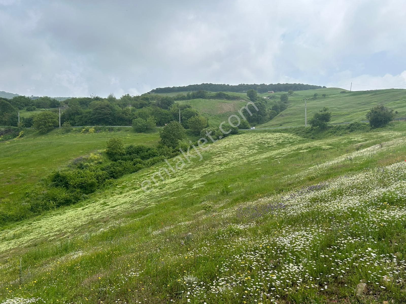 Kocaeli Karamürsel Fulacık %5 İmarlı 7470 M2 Satılık Tarla - Görsel 13