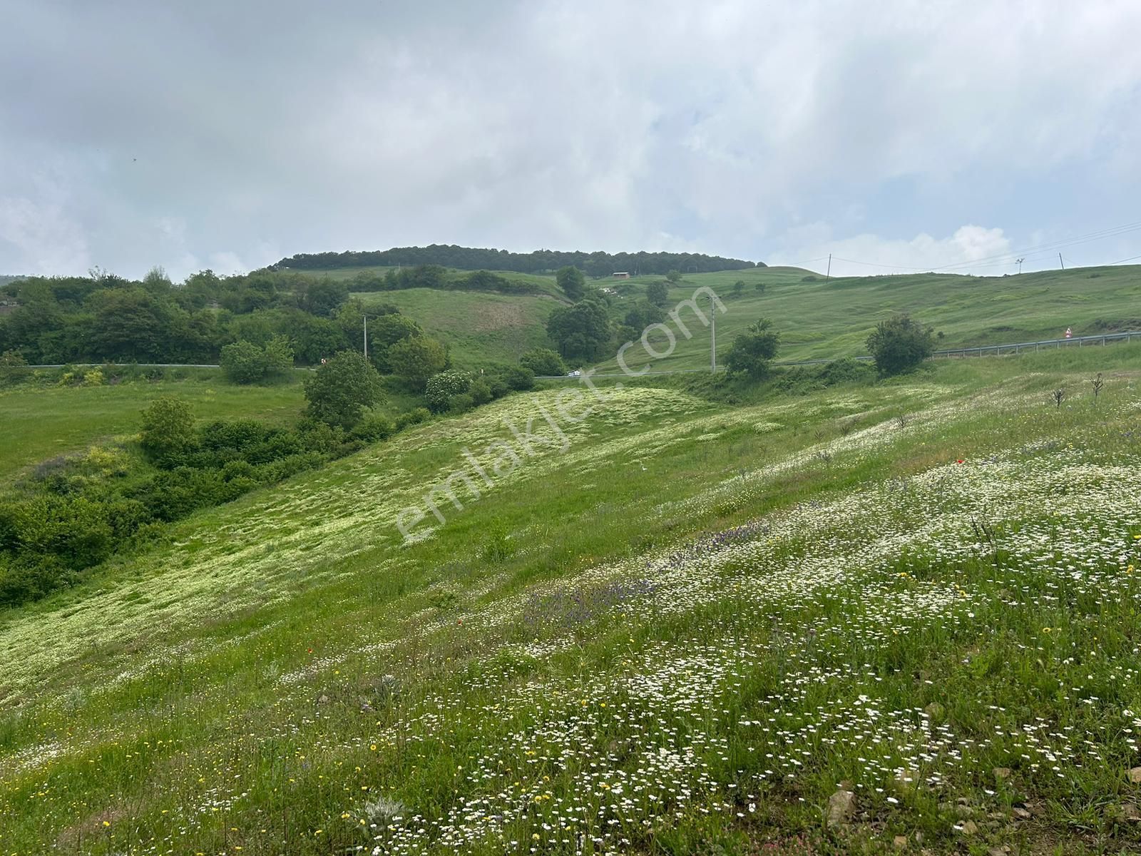 Kocaeli Karamürsel Fulacık %5 İmarlı 7470 M2 Satılık Tarla - Görsel 11